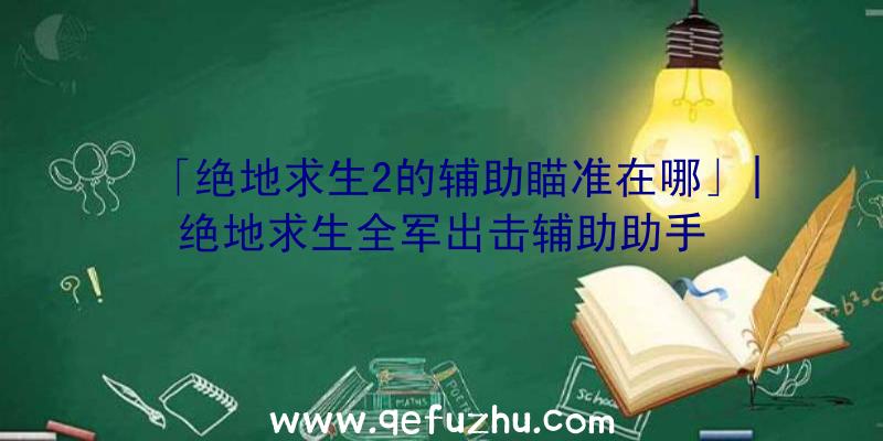 「绝地求生2的辅助瞄准在哪」|绝地求生全军出击辅助助手